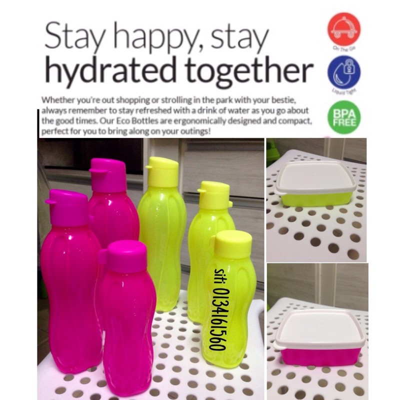 (Set) Neon Eco Bottle and Shallow Square Tupperware | Shopee Malaysia