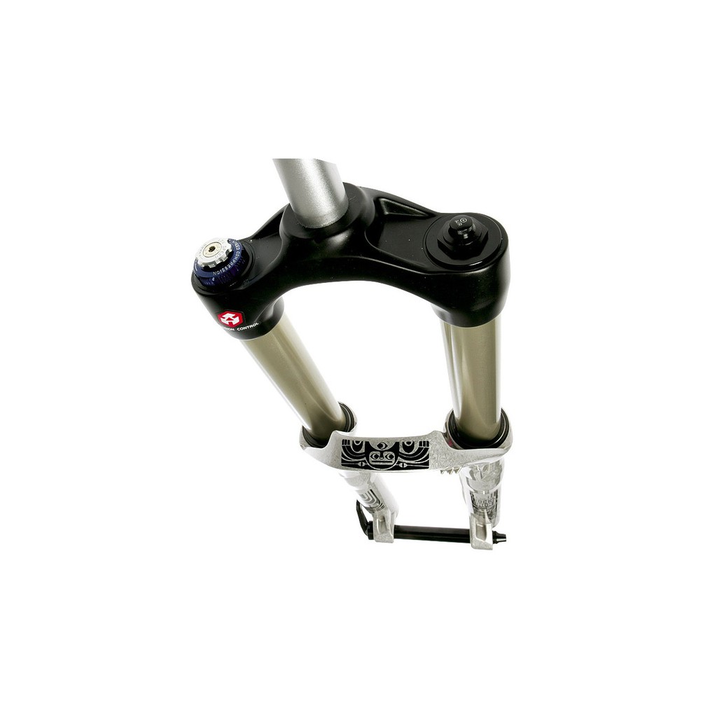 Rockshox totem coil discount