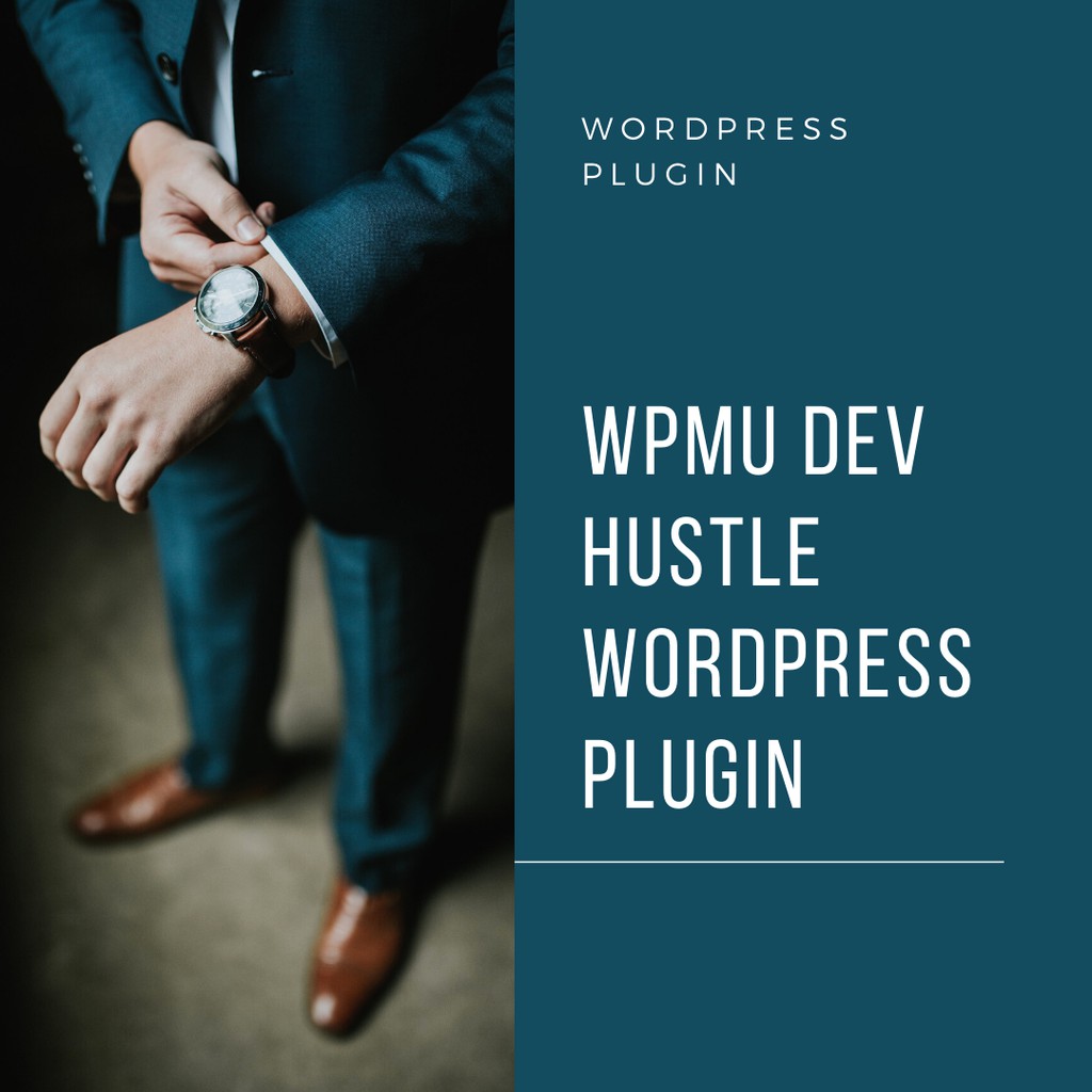 Wpmu Dev Hustle Wordpress Plugin Lifetime Update Access Shopee Malaysia