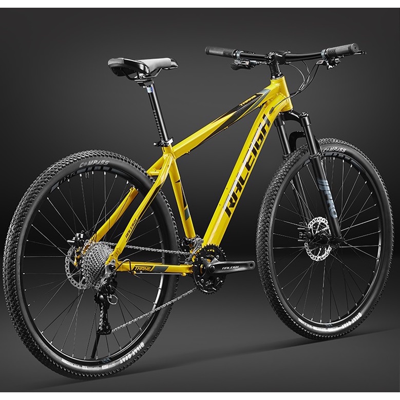 neelam cycle 22 inch