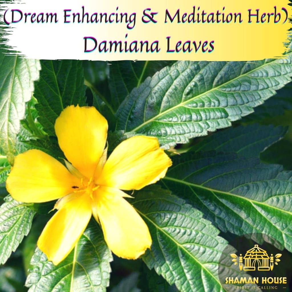 Natural Sleep Aid Dream Meditation Herb 5g Organic