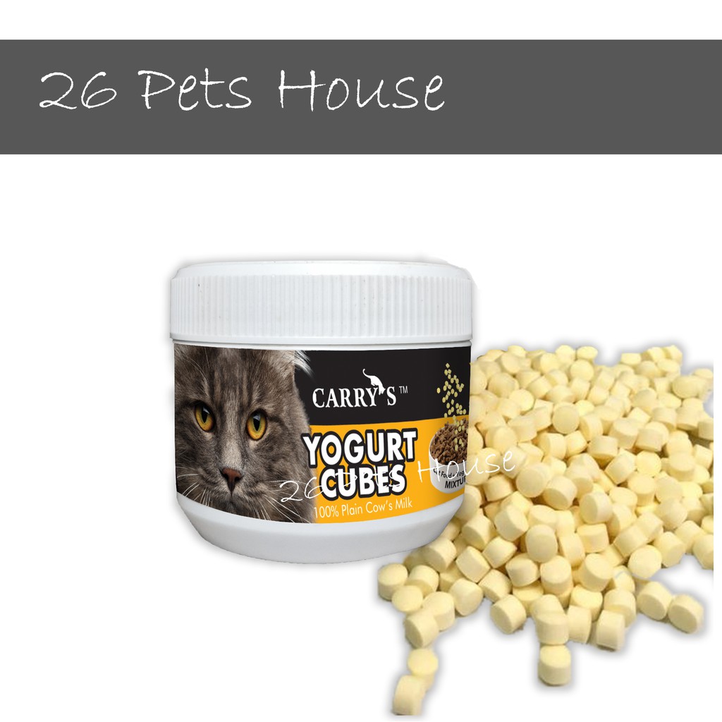 Plain yogurt hotsell for cats