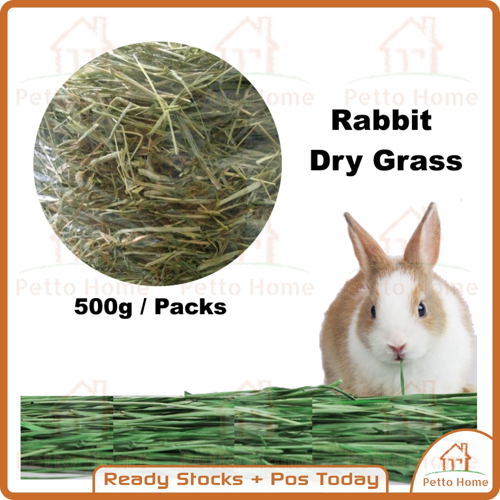Timonthy Hay Fresh Timothy Grass Rabbit Hamster Guinea Pig Grass Rumput ...