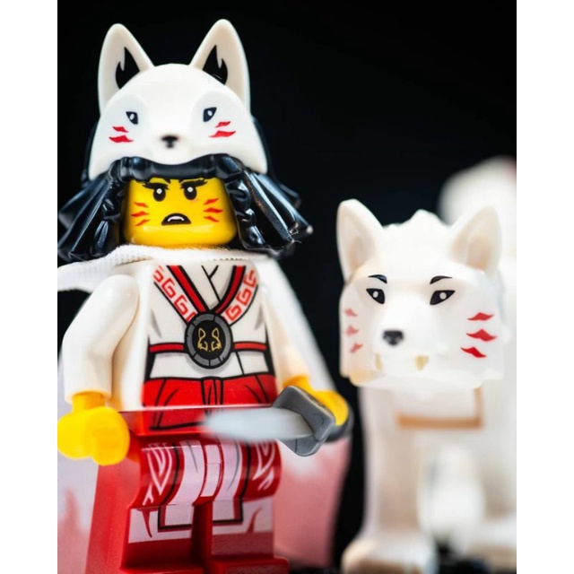 Akita lego best sale