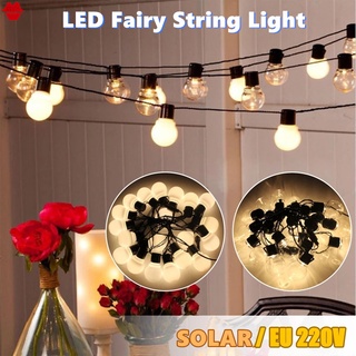 🎀🎀🎀LED Bulb String Lights G50 Bulbs LED Twinkle Fairy Light LED ...