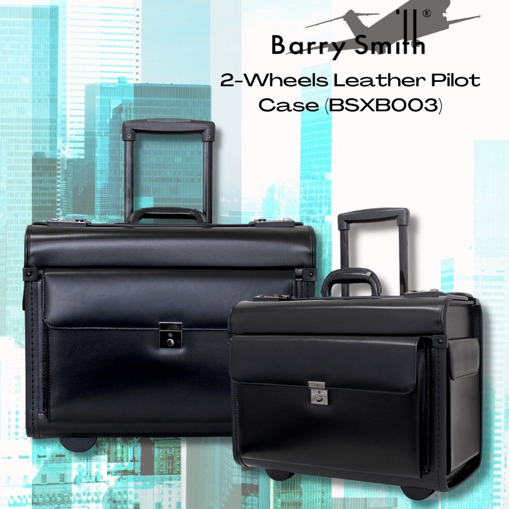 Barry smith store pilot case