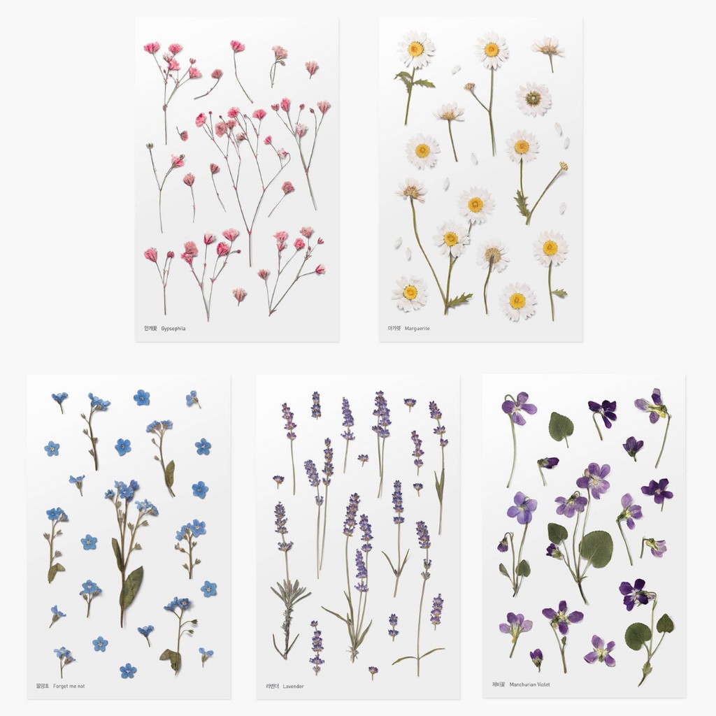 Appree Pressed Flower Stickers Shopee Malaysia