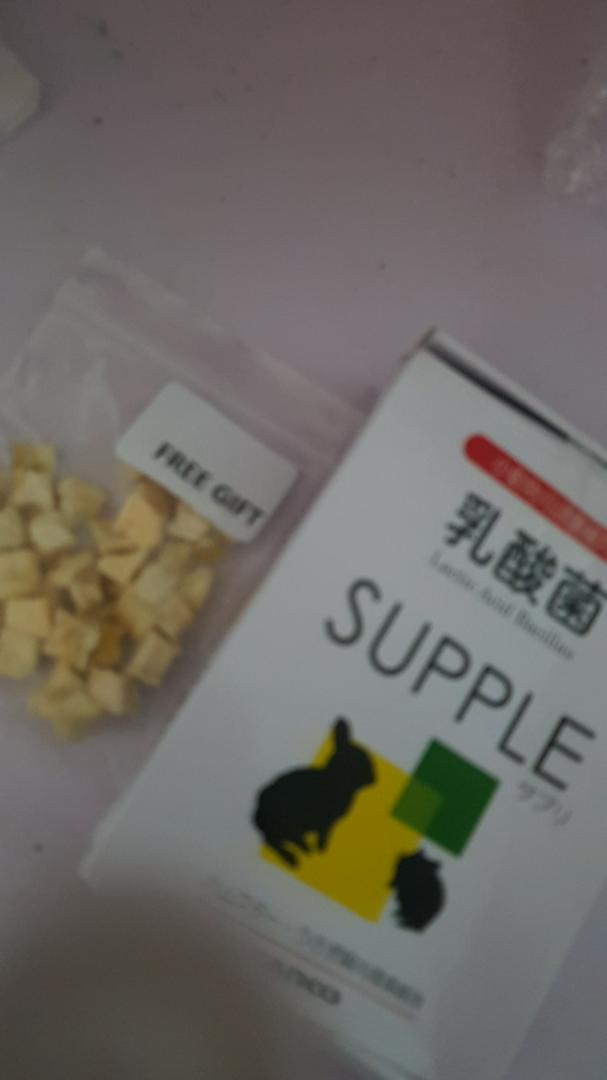 REPACK)SANKO 品高乳酸菌/ 10g / 宠物仓鼠,兔子,龙猫,荷兰猪/ 调理肠道