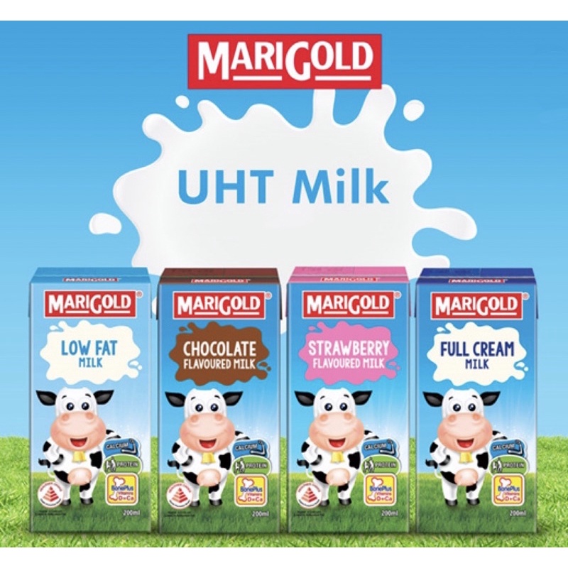 MARIGOLD Milk 200ml (Low Fat/Chocolate/Strawberry/Full Cream) Shopee