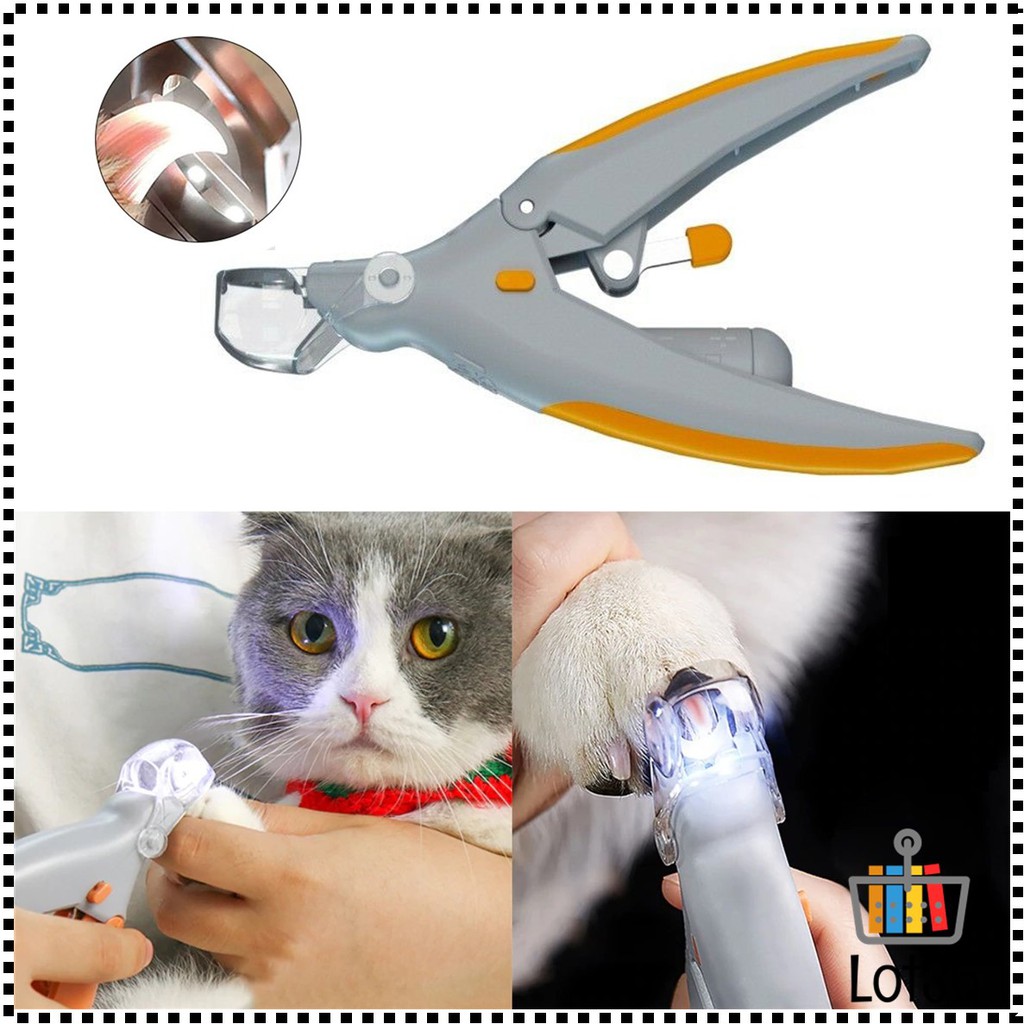 Pet nail clipper top with light and magnifier