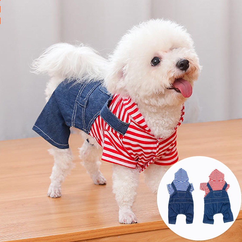 Cat Dog Coat - Temu