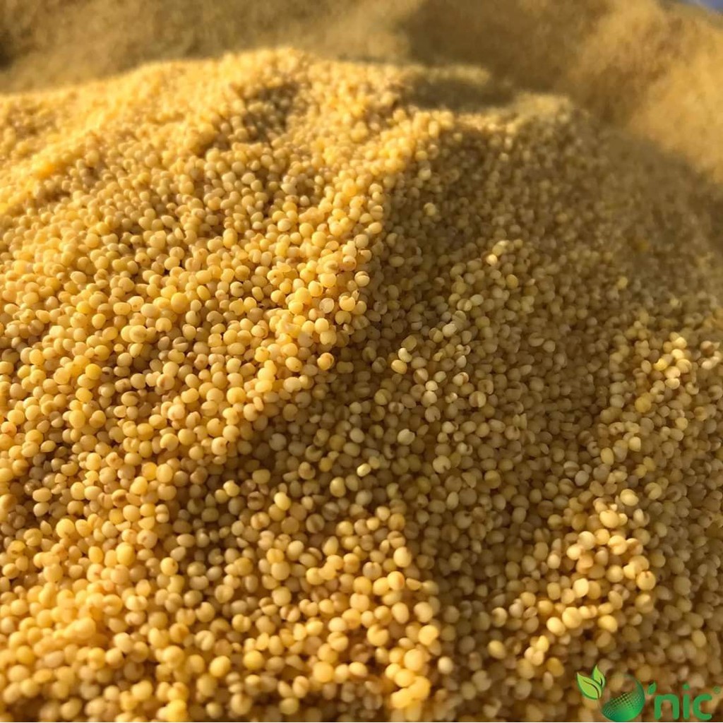 Organic Hulled Millet (non-sticky) 有机小米 500g | Shopee Malaysia