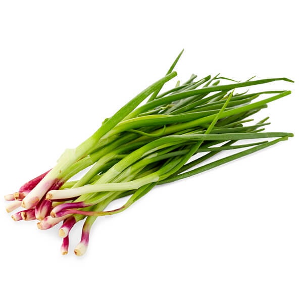 Sayur Daun Bawang / Spring Onion Fresh 100g | Shopee Malaysia