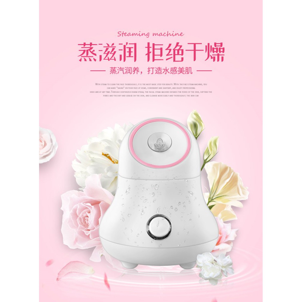 Facial Spa Nano Mist Face Steam Machine Facial Steamer Machine | Shopee ...