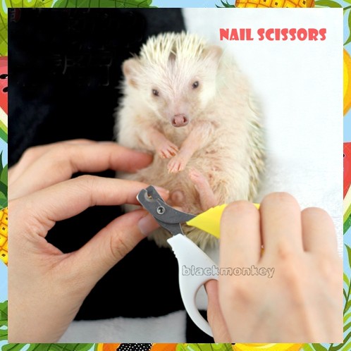 Hedgehog nail clippers hotsell