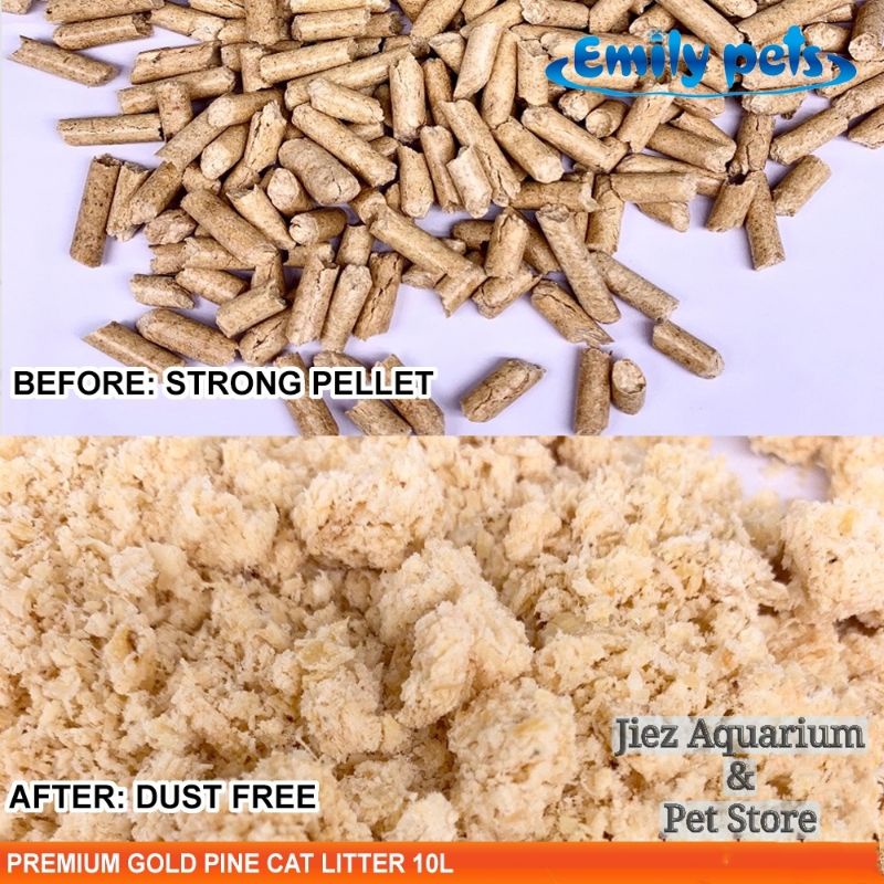 Golden pine cat litter 2025