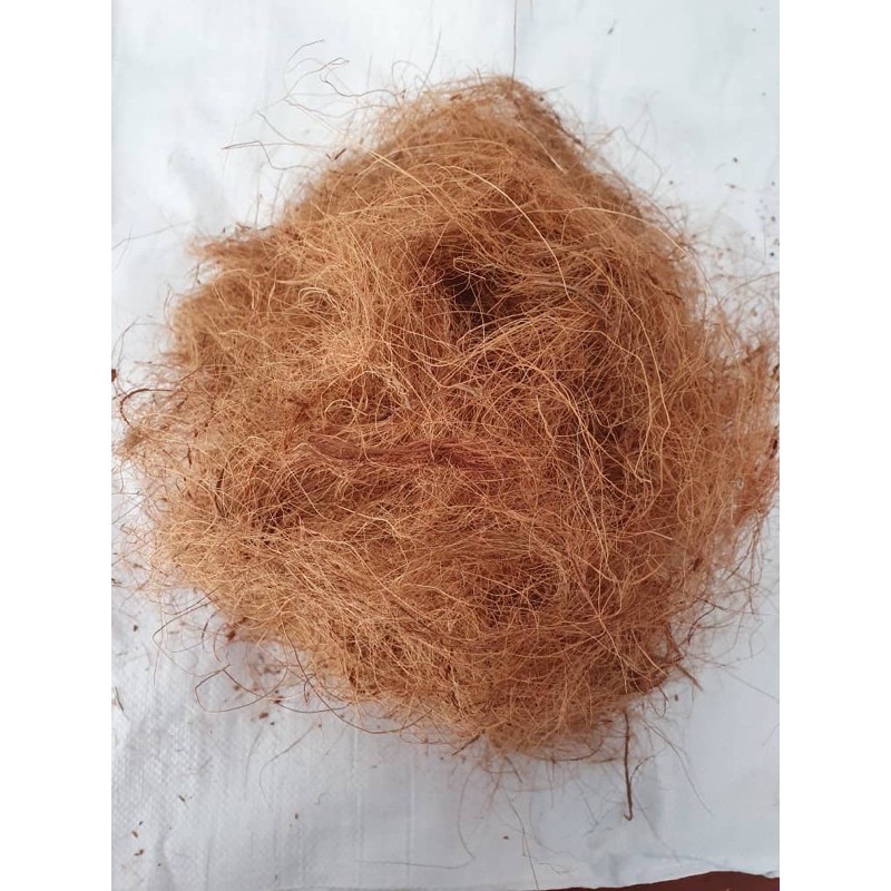 1KG SABUT KELAPA KASAR (Cocofiber) | Shopee Malaysia