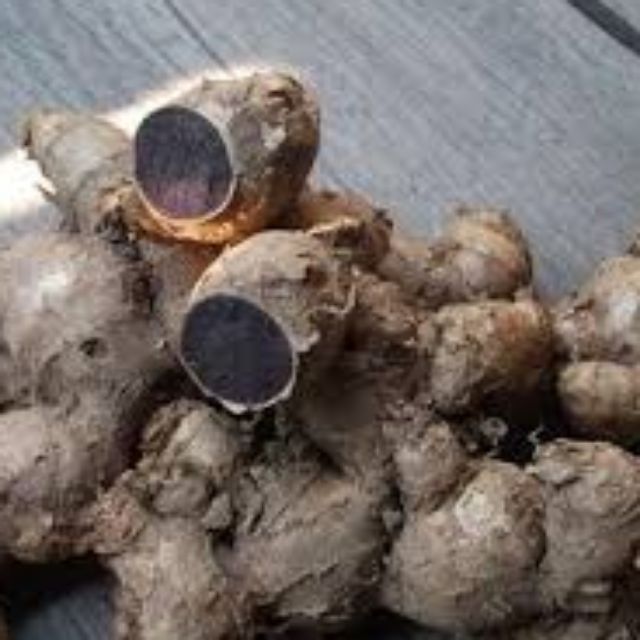 Rizom Kunyit Hitam (1kg)Original,untk perubatan | Shopee Malaysia
