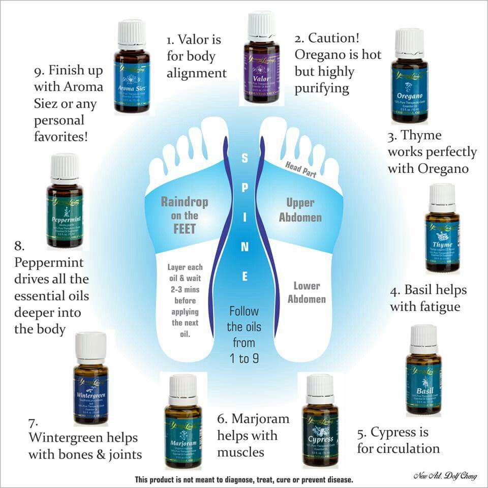 Young Living Raindrop Technique Essential Oil Collection YL