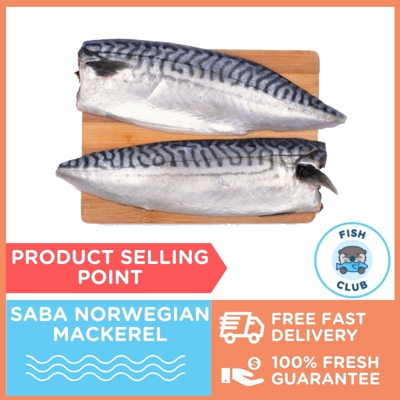 Norwegian Saba Mackerel Fillet / Ikan Saba 300400g Shopee Malaysia
