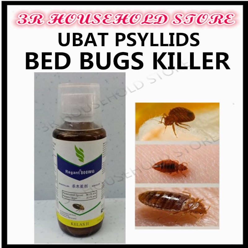 What Are The Best Sprays To Control Bed Bugs?, 59 OFF
