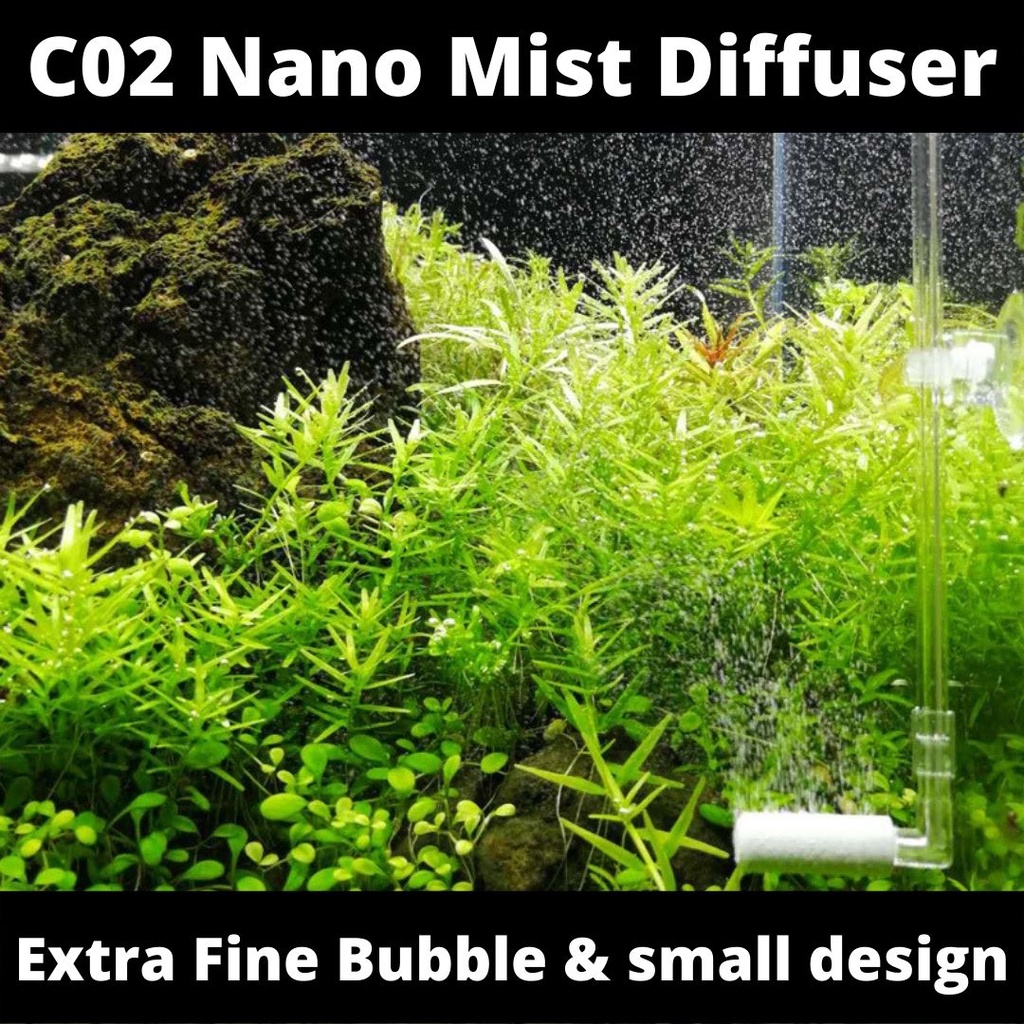 Aquarium CO2 Diffuser (Nano Mist) | Shopee Malaysia