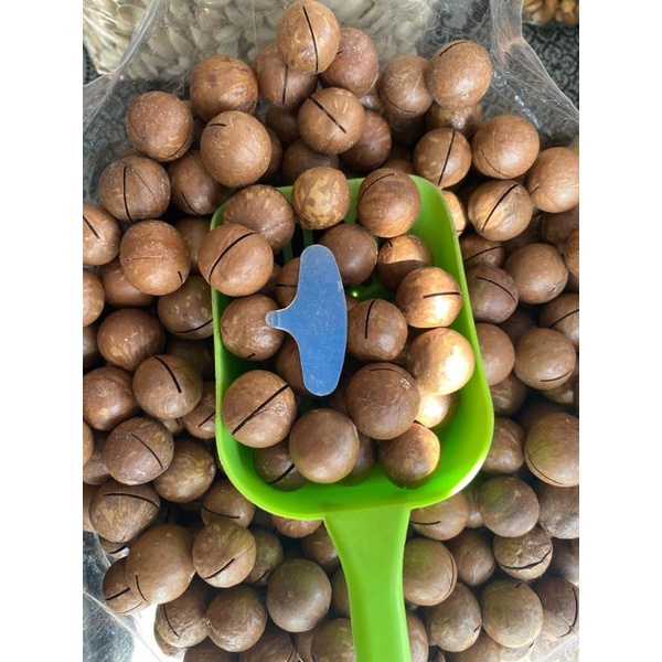 Kacang Macadamia Sekali Kunci Shopee Malaysia