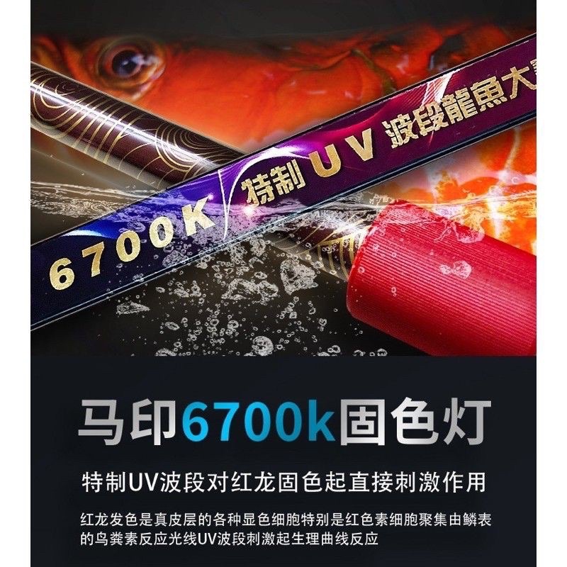 Mayin 6700k T5 LED Arowana Tanning Light Lampu 马印 | Shopee Malaysia