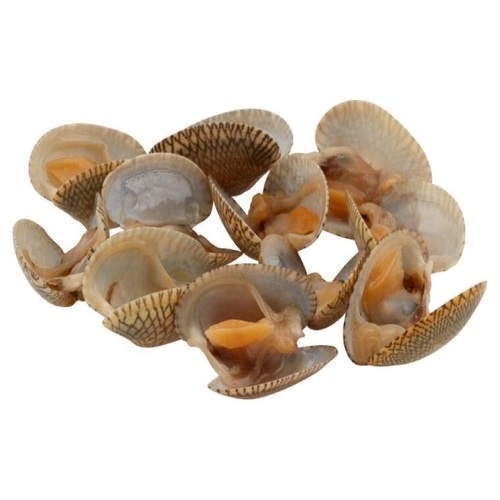 Lala / Asian Clam ( 500 gram ) | Shopee Malaysia