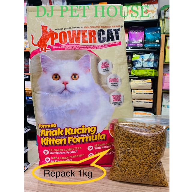 Power cat hotsell kitten formula