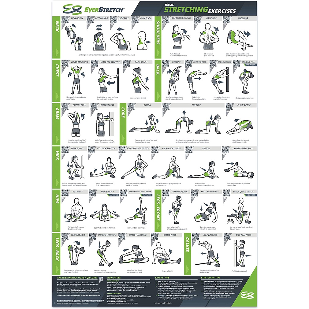 Basic Stretching Posters For Home Gym X Layer Pressure Exercise Posters ...