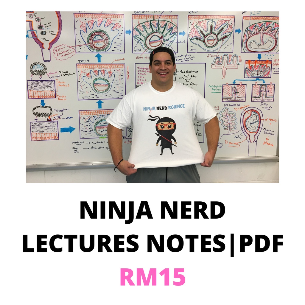 ninja-nerd-lecture-notes-pdf-shopee-malaysia