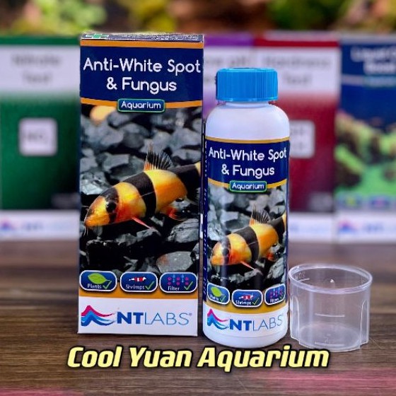 NT Labs AntiWhite Spot & Fungus 100ml Shopee Malaysia