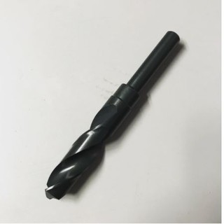 PROJAHN HSS Work Auger Drill Bit - 16x600 Mm Professional Wood Boring Bit With Fine Thread Shank