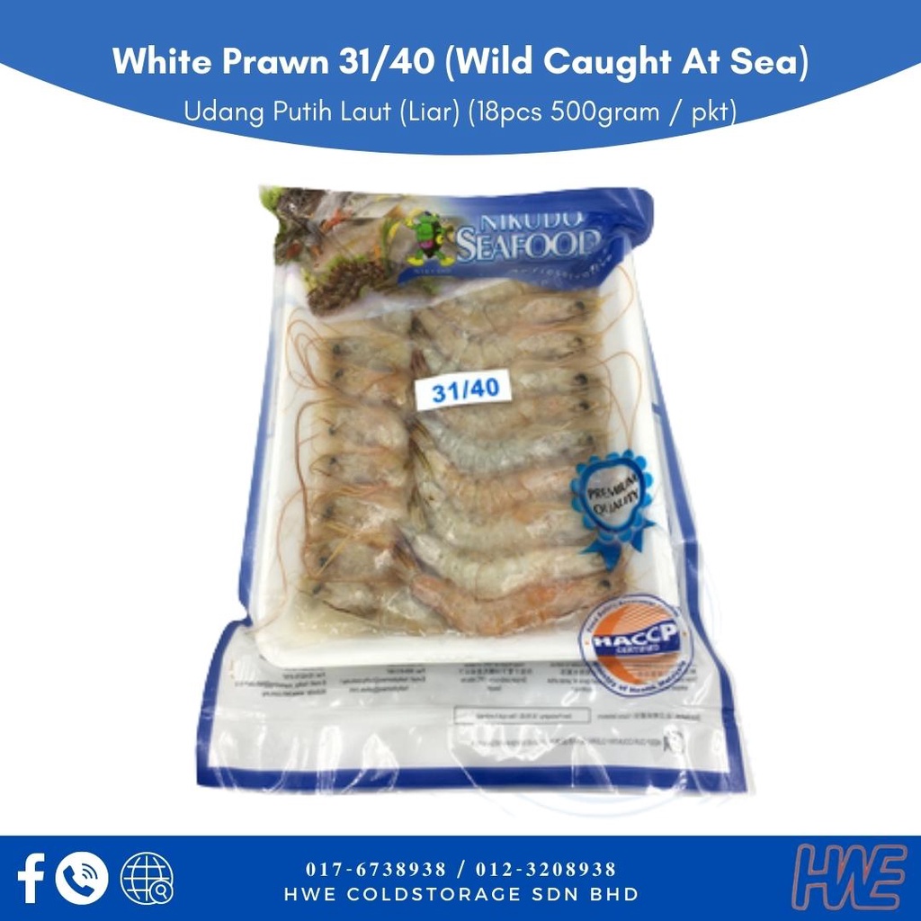 [halal] Nikudo Sea White Prawn 31 40 500g Udang Putih Laut Liar