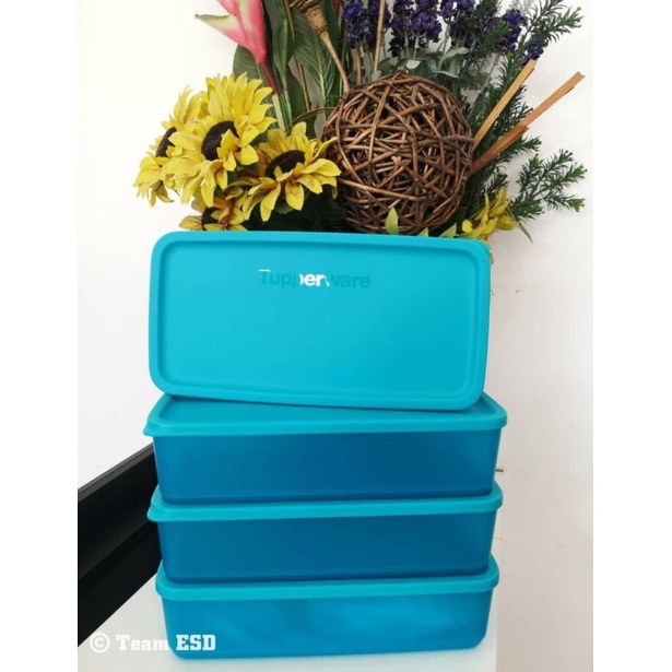 Bekas Simpan Sayur Tupperware 1.4L (Double So Fresh) (1 pc) | Shopee ...