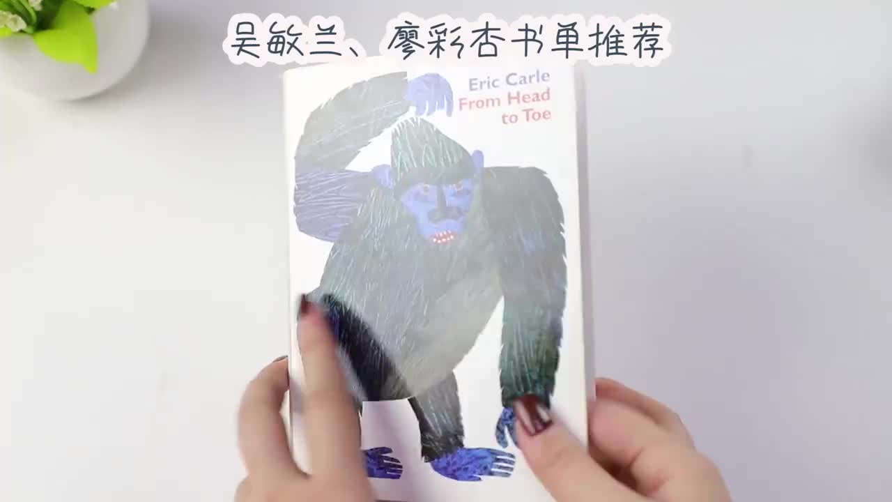 From Head to Toe By Eric Carle (Board Book) | Shopee Malaysia