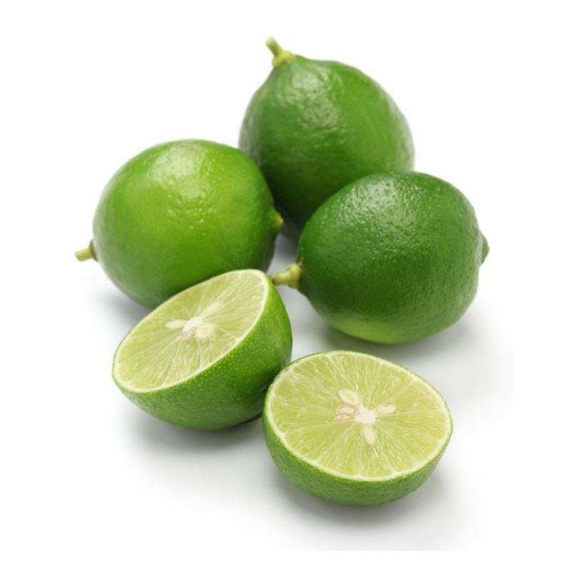 Pokok Buah Keratan Lemon Australia Lime Keffir Limau Nipis Seedless Jambak Kerat Lintang Meyer 4555