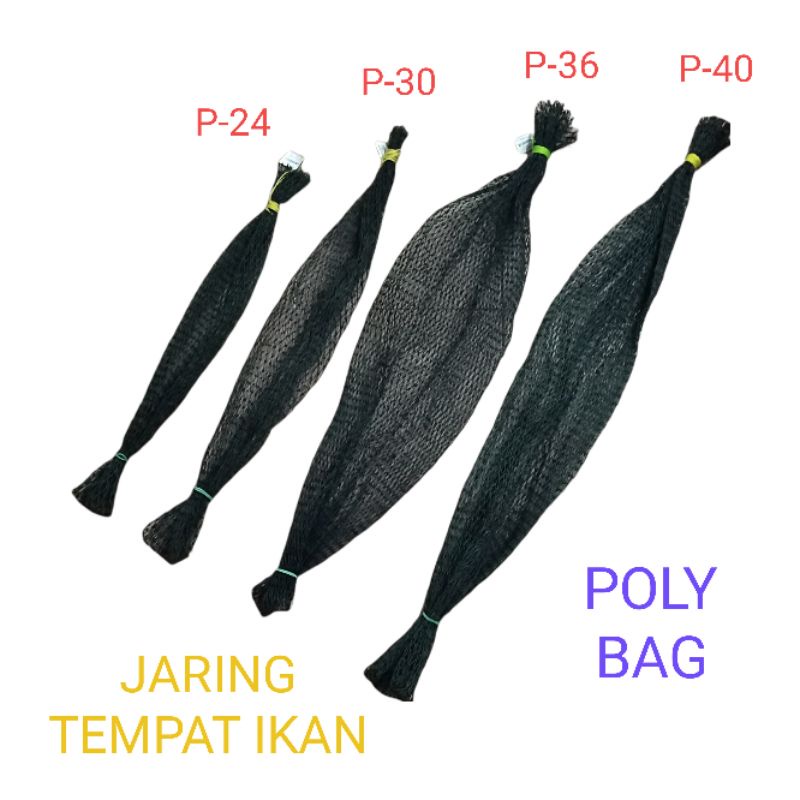 JARING TEMPAT IKAN POLY BAG - GREEN #24