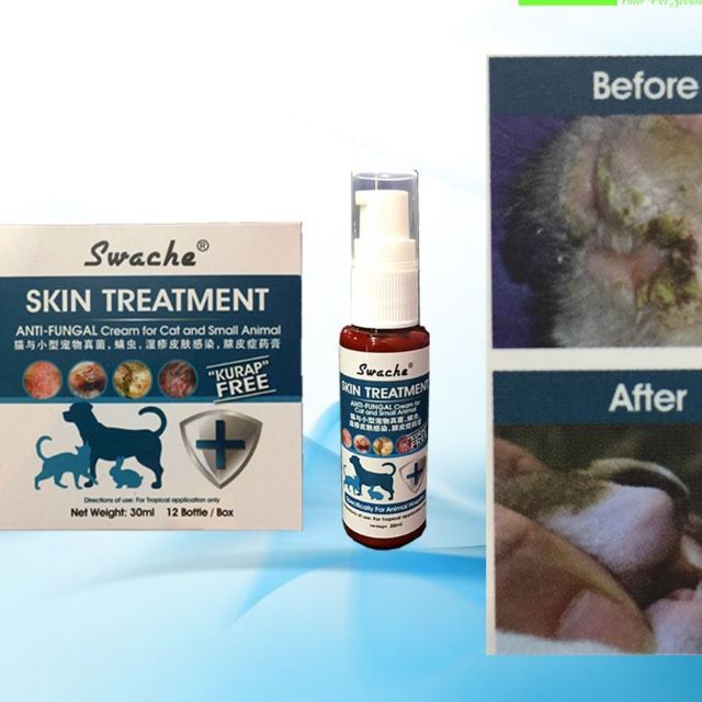 Antifungal cream for cats store