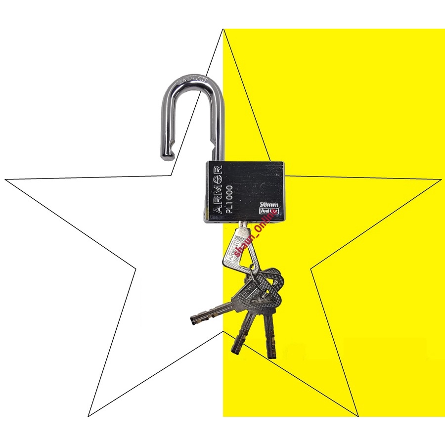 ARMOR APL-1000/503 50mm Pad Lock Safety Lock / Anti Cut Padlock 50mm ...