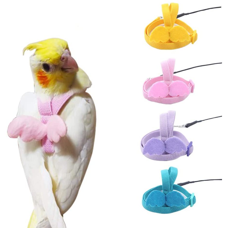 Cockatiel leash outlet