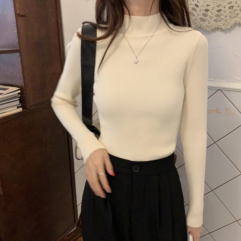 Women Long Sleeve Knit Turtle Neck Autumn Winter Slim Fit Knitted Top ...