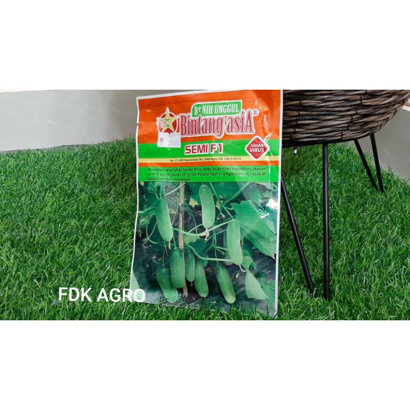 Benih Timun Mini Unggul SEMI F1 Cap Bintang Asia 20g | Shopee Malaysia