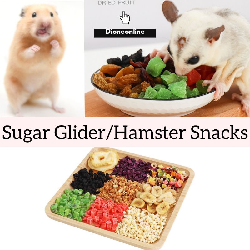 Dried Mulberry / Cheese Cube / Dried Sweet Potato Sugar Glider/ Hamster