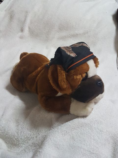 Harley davidson stuffed bulldog sales
