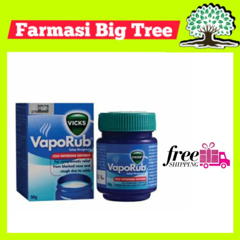 Vicks Vaporub Vaporizing Ointment 10g