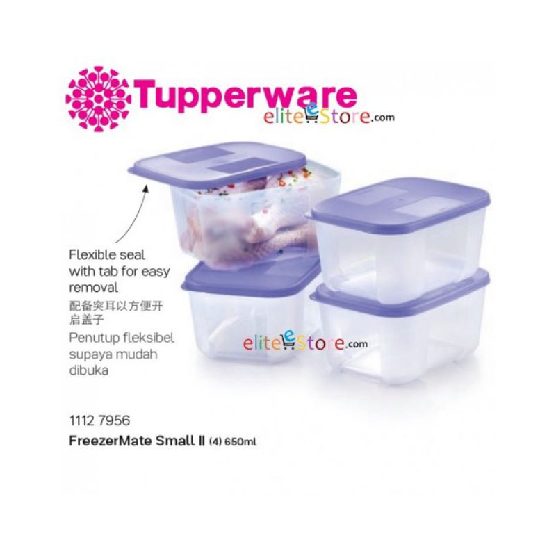 Tupperware tupperware set of 2 small freezer mate containers 650 ml  capacity by tupperware