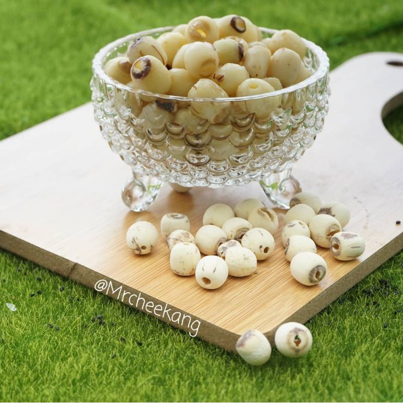 🔥 Best Item 🎁 100g Premium Biji Teratai Lotus Seed Shopee Malaysia 6482