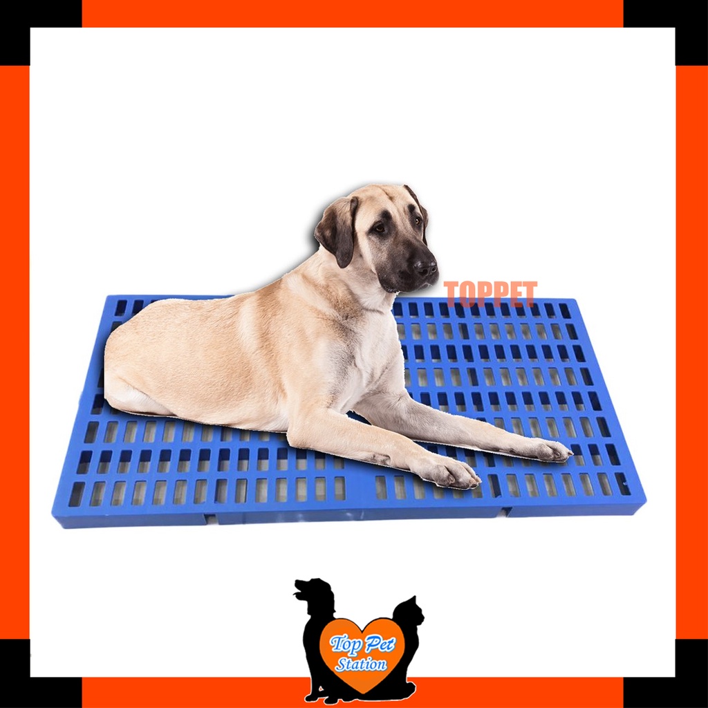 Ready Stock⚡️High Quality Kennel Pet Cage Dog Cat Board Platform Papan ...